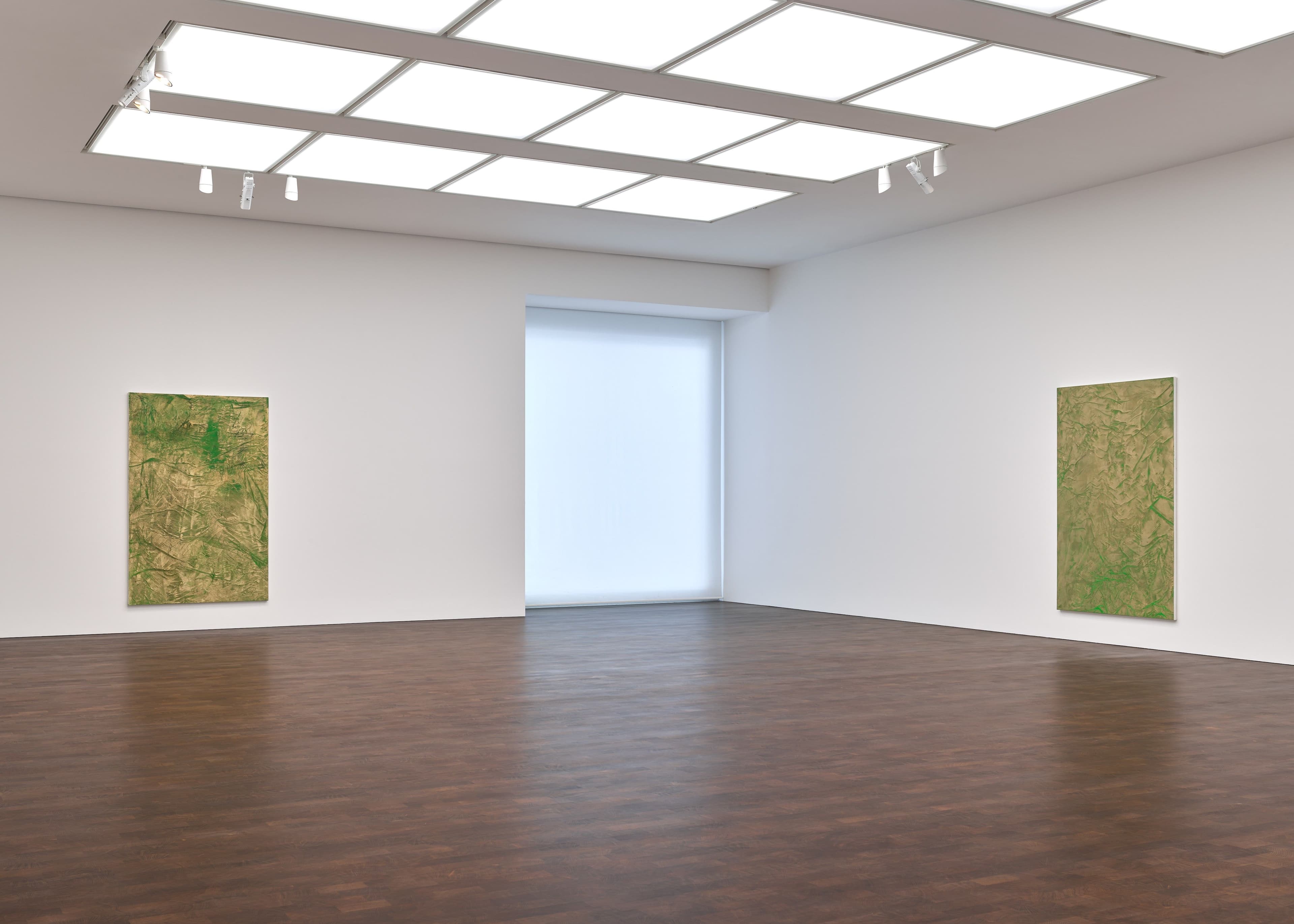 Rudolf Stingel — Vineyard Paintings — image 4 of 7