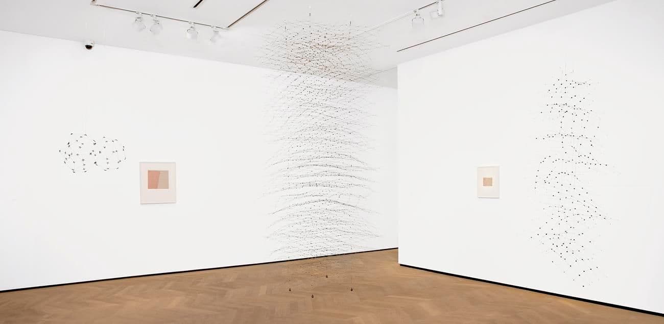 Gego — Autobiography of a Line — image 1 of 2