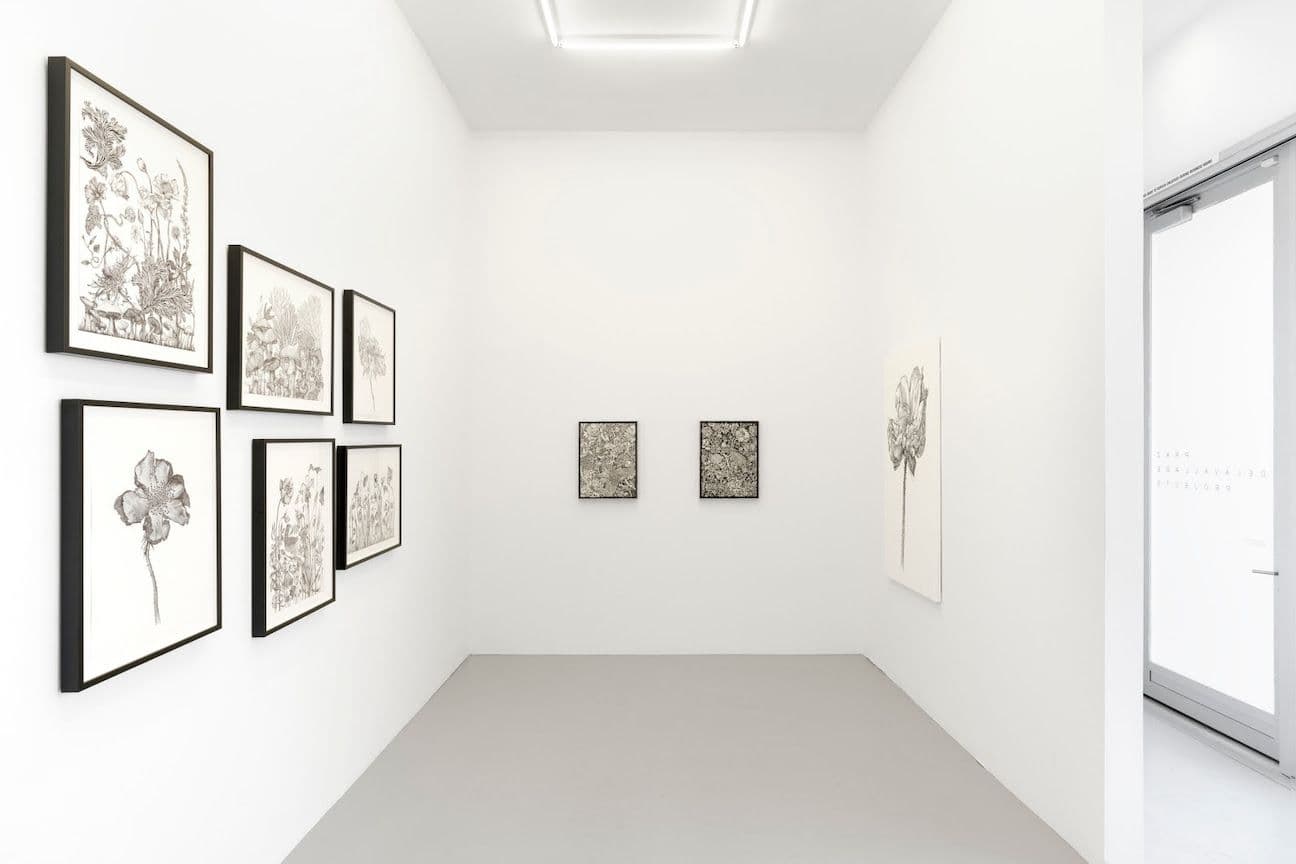 Nazanin Parviz — Traces of the Inner Realm — image 1 of 2