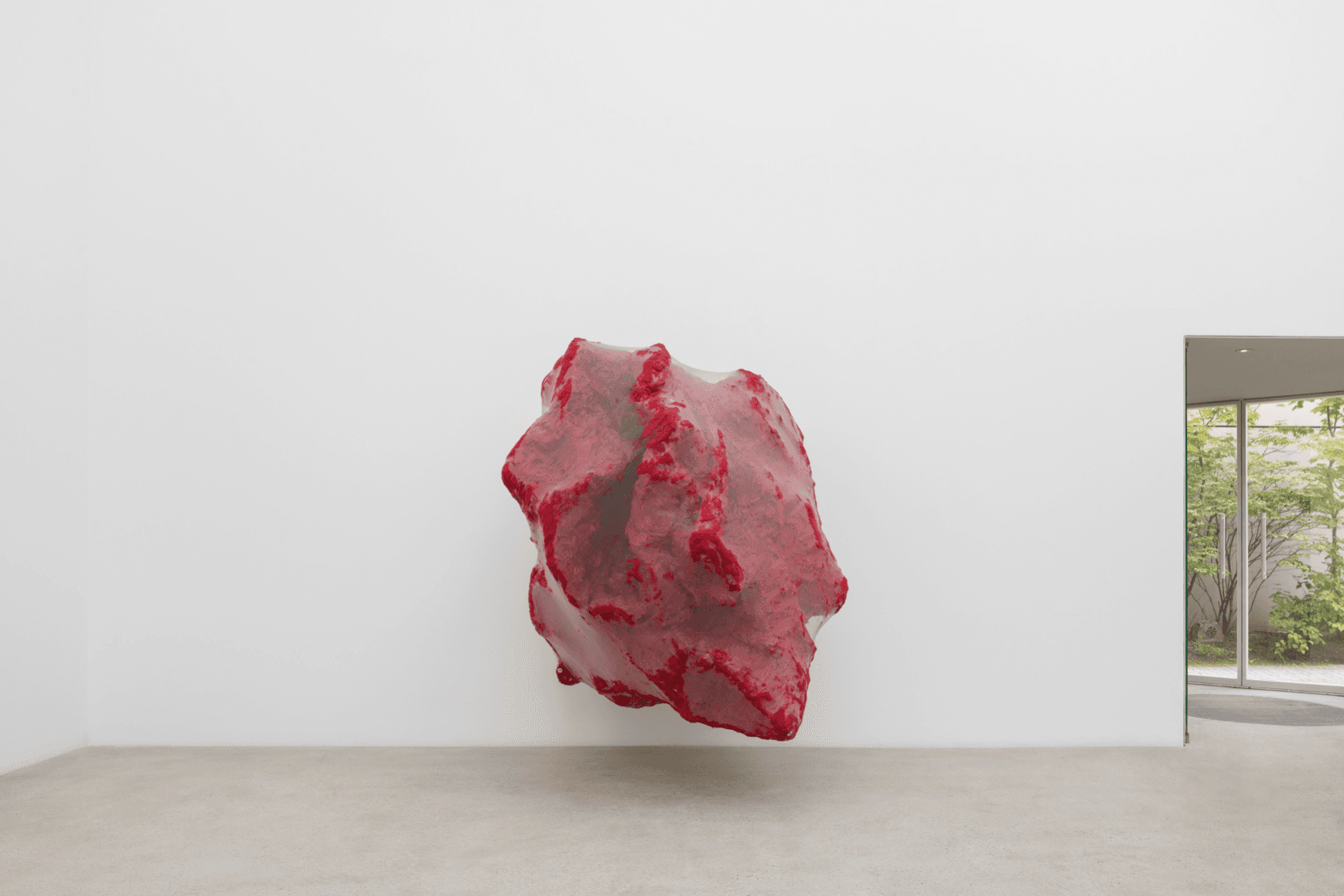 Anish Kapoor — Anish Kapoor — image 8 of 8