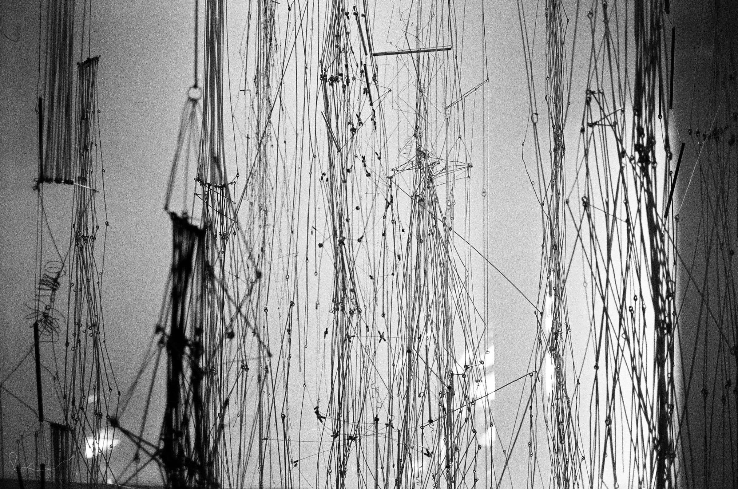 Gego — Lines in Space
