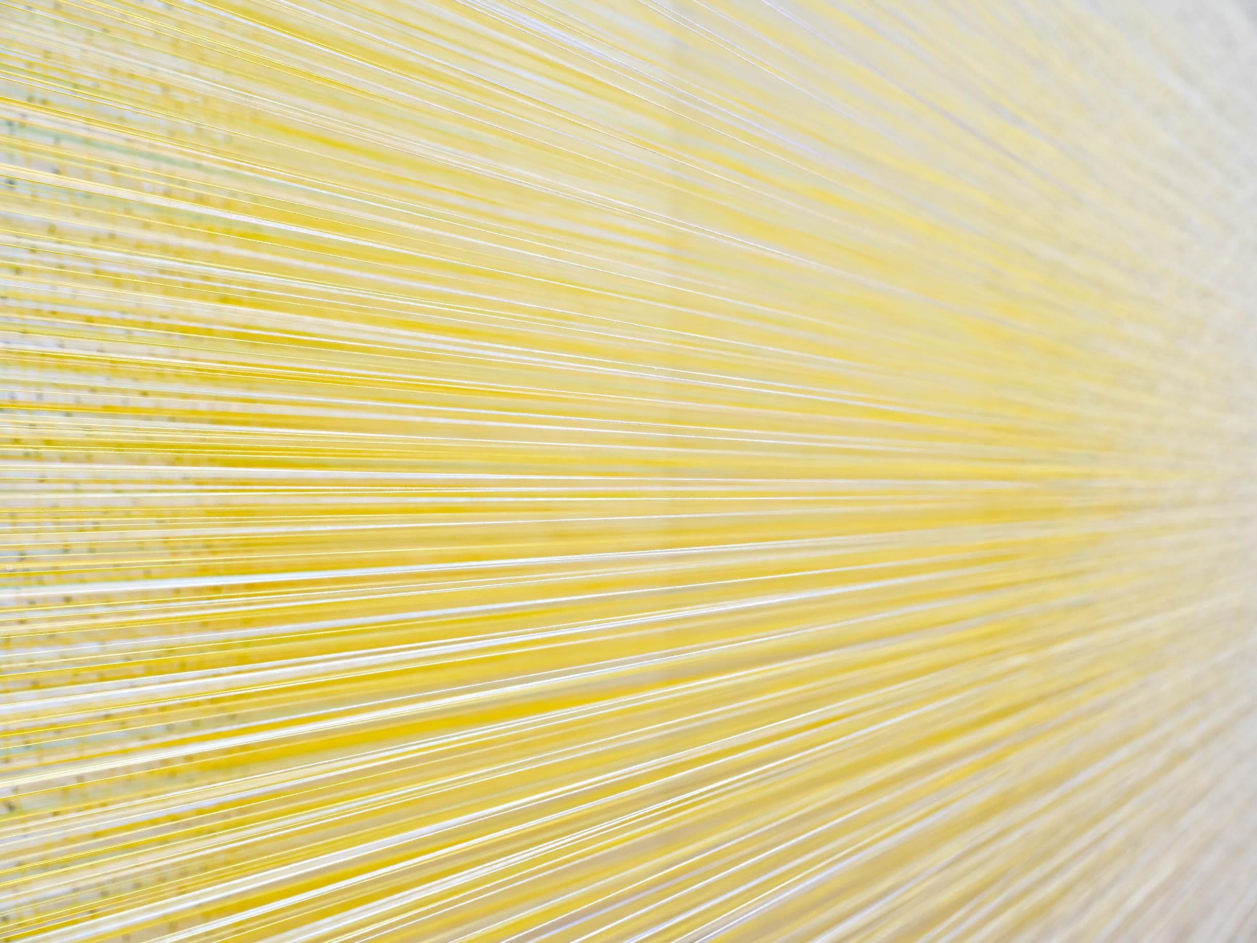 Group Exhibition — Woven Abstractions — image 5 of 5