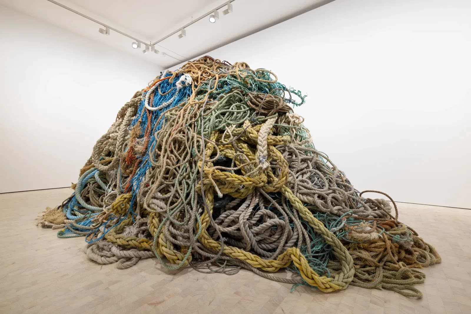 Exhibition of Old Rope - Image 2