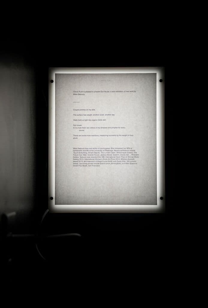 Mitra Saboury — Gut House — image 6 of 6