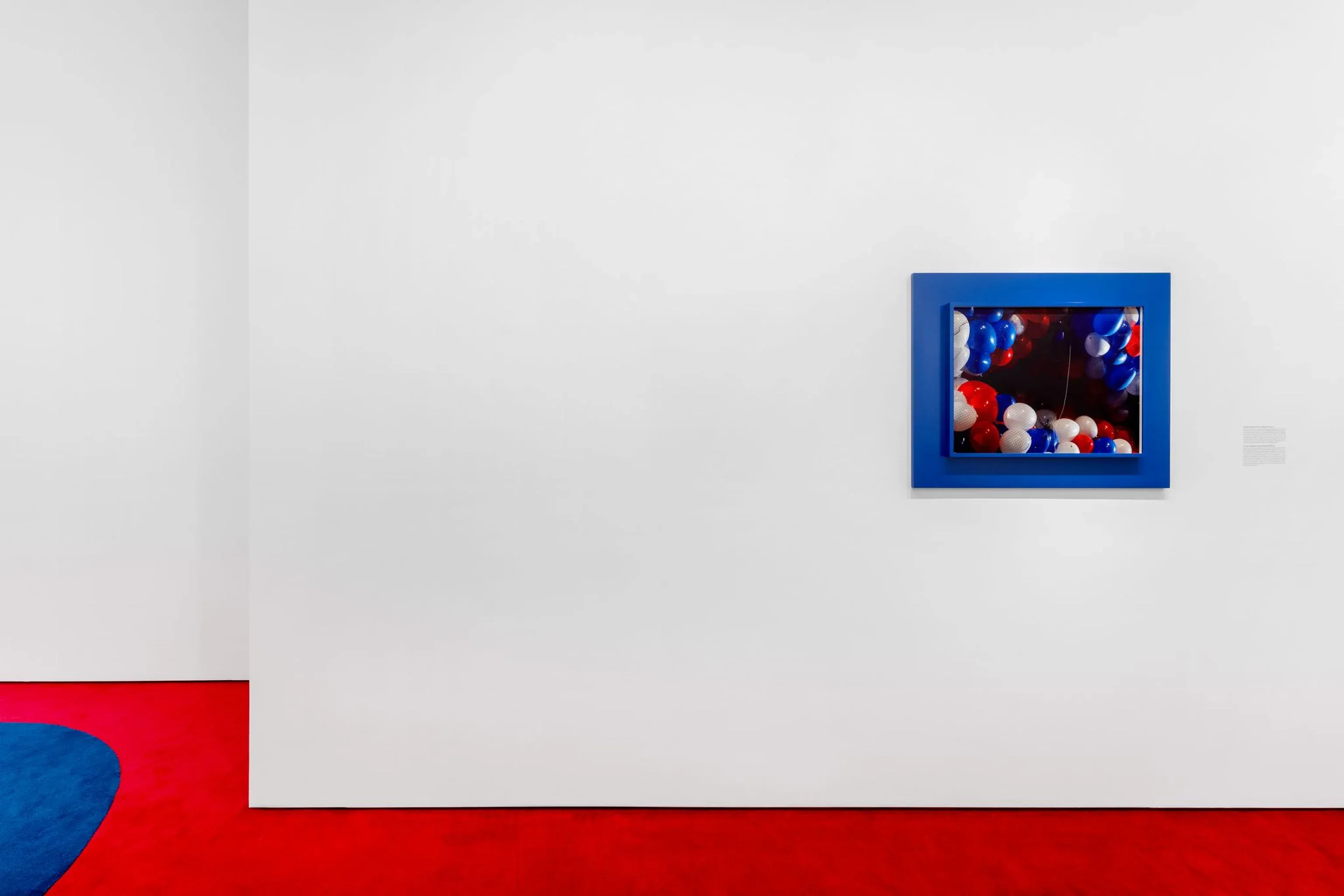 Taryn Simon — The Game — image 6 of 6