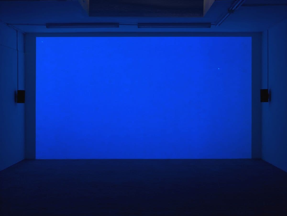 Elizabeth McAlpine — Light Reading — image 8 of 8
