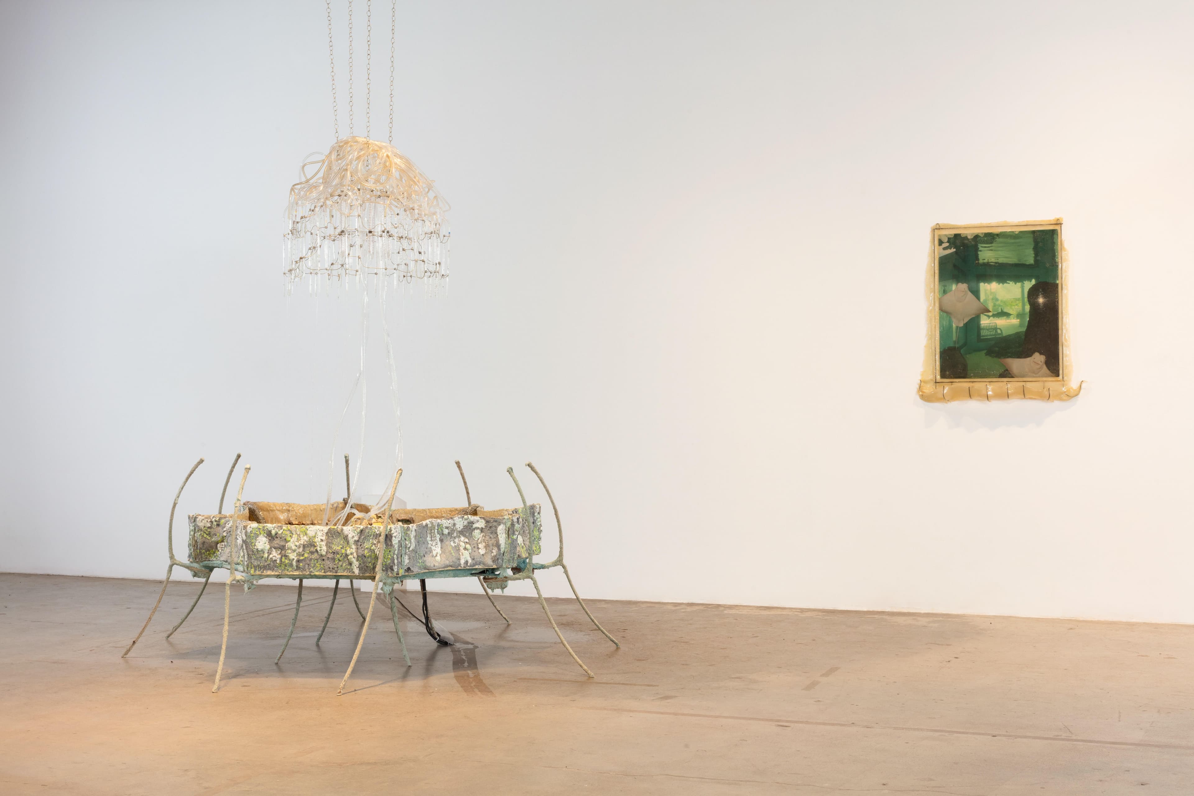 Sasha Fishman — Resurrectura — image 3 of 4