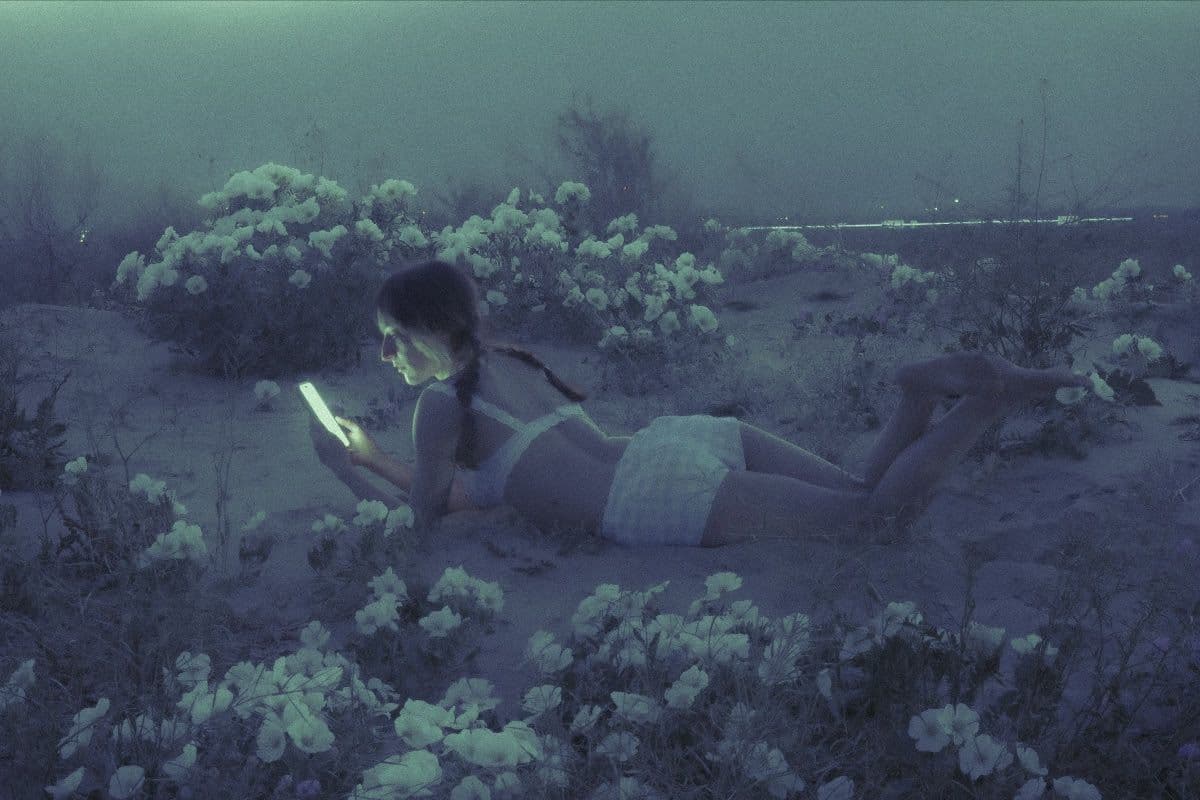 Summer Wagner — The Pulse of Grass and Screen