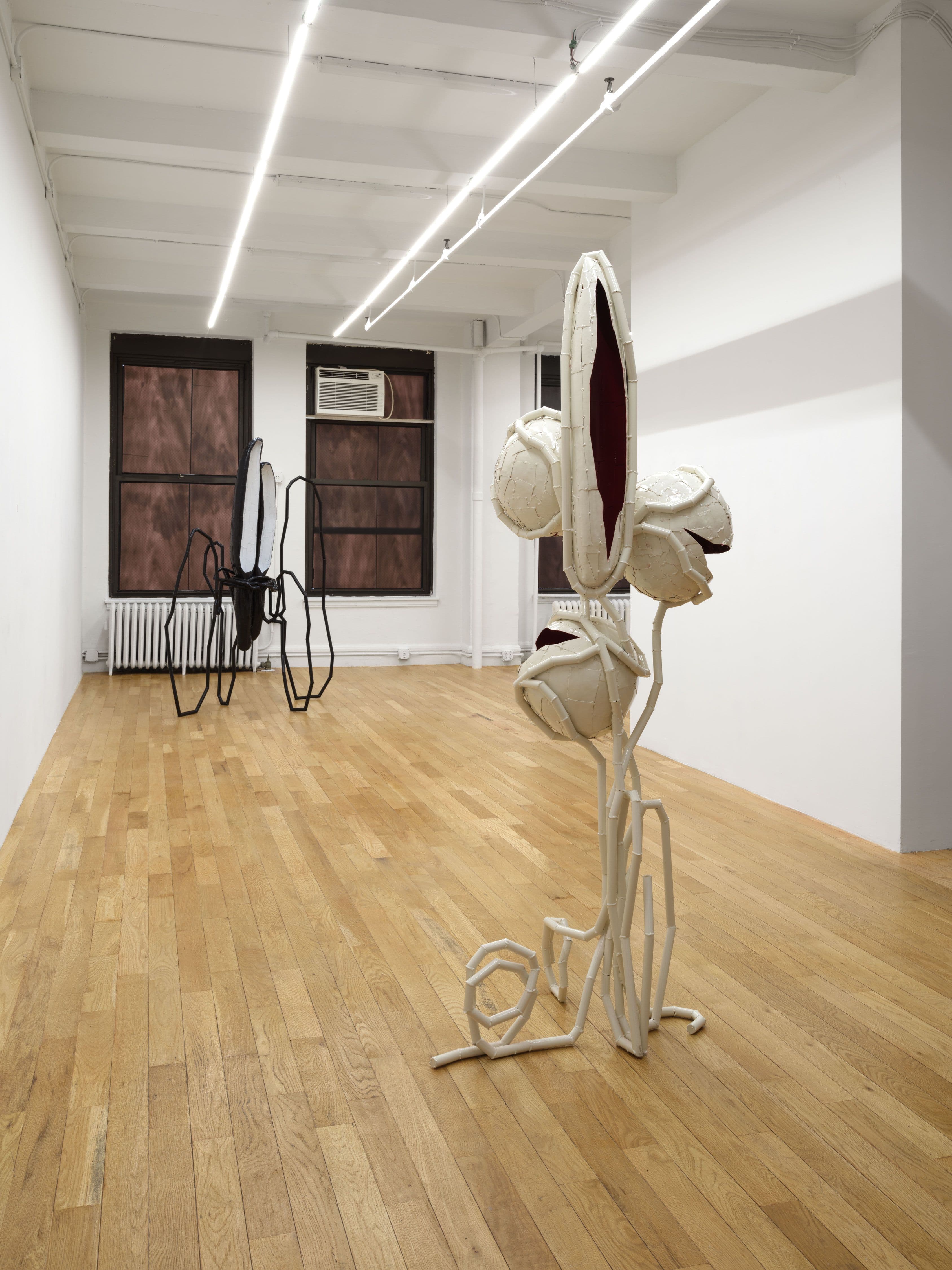 Indrikis Gelzis — Bingo Gaze — image 4 of 8