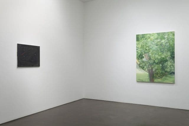 Matthew Benedict, Robert Bordo, Diango Hernández, Stefan Kürten, Sylvia Plimack Mangold — New Paintings — image 5 of 6