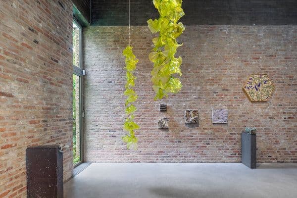 Tue Greenfort — Wunderkammer — image 4 of 5