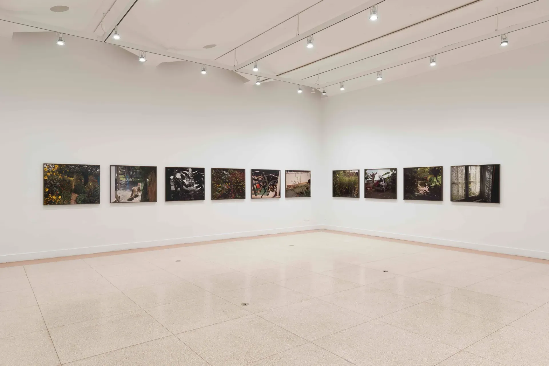 Elle Pérez — The World Is Always Again Beginning — image 1 of 5