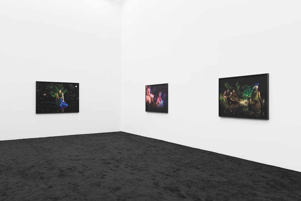 Christopher Udemezue — Under the Palm Tree Leaves — image 1 of 2