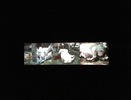 Araya Rasdjarmrearnsook — Niranam — image 6 of 6