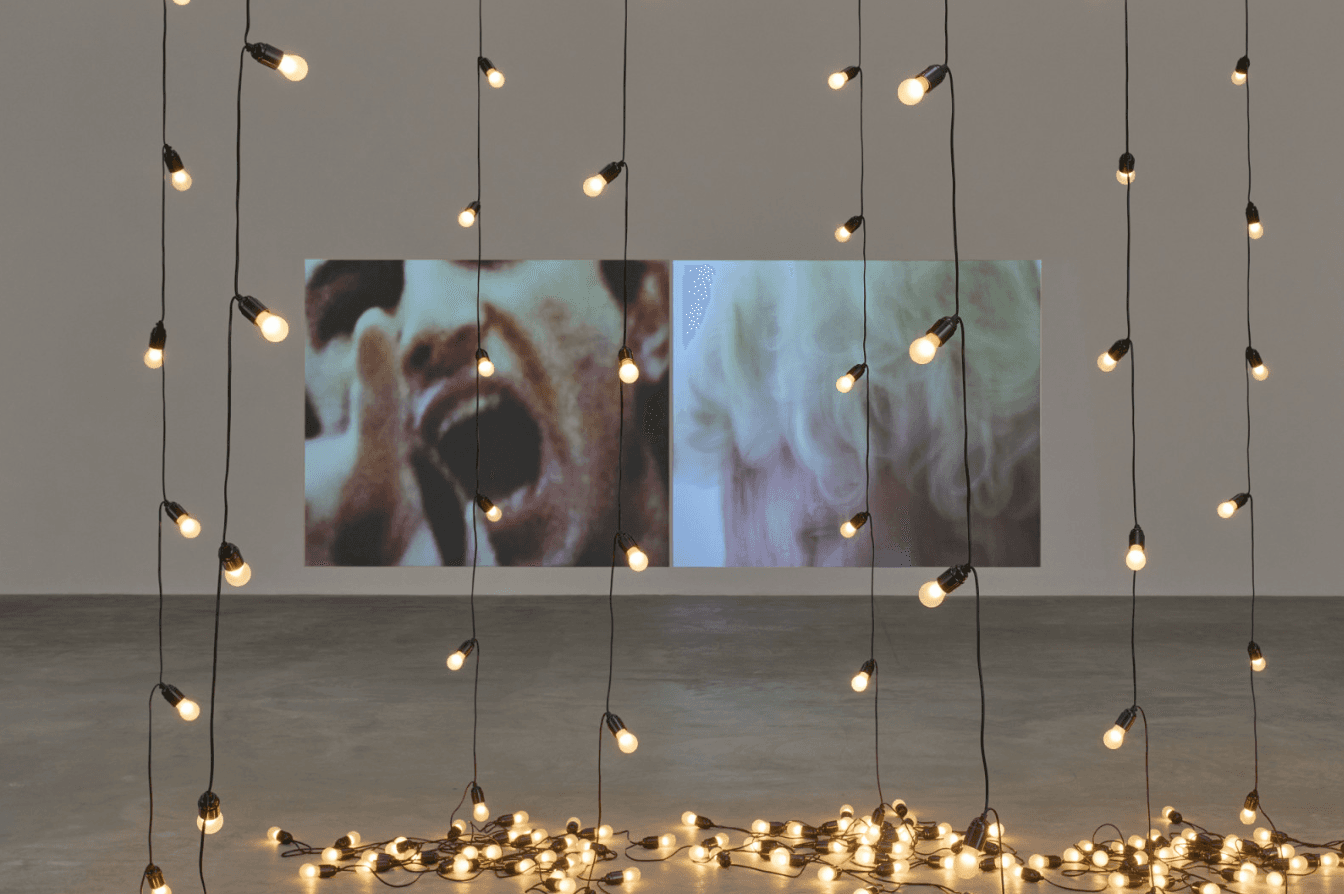 Group Exhibition — Sturtevant — image 2 of 5