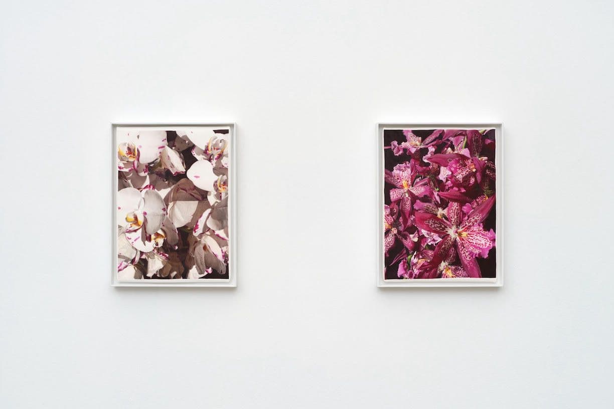 Group Exhibition — Apricity — image 4 of 5