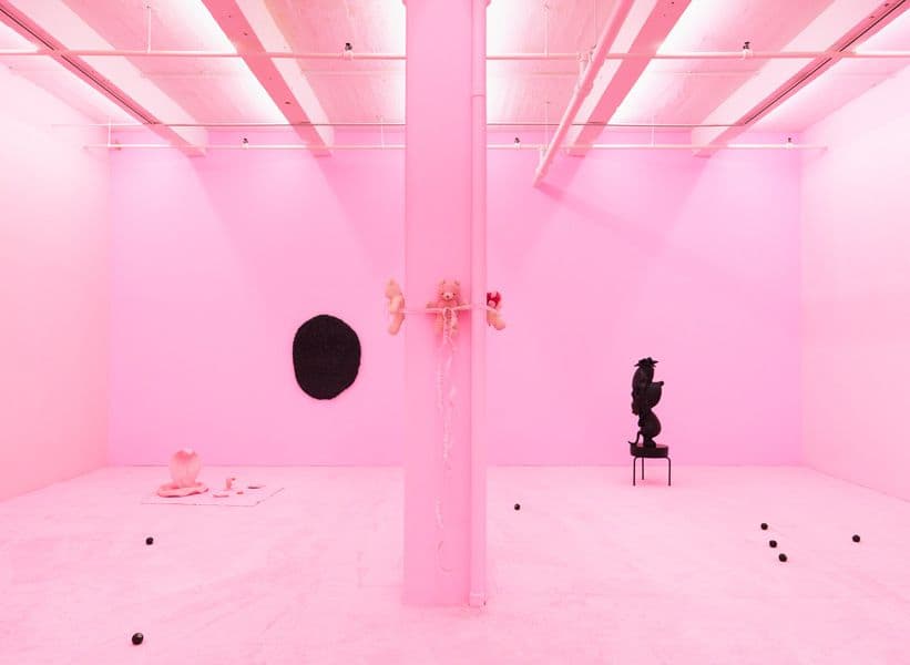 Brian Kokoska & Chloe Seibert — Night Cage — image 5 of 8