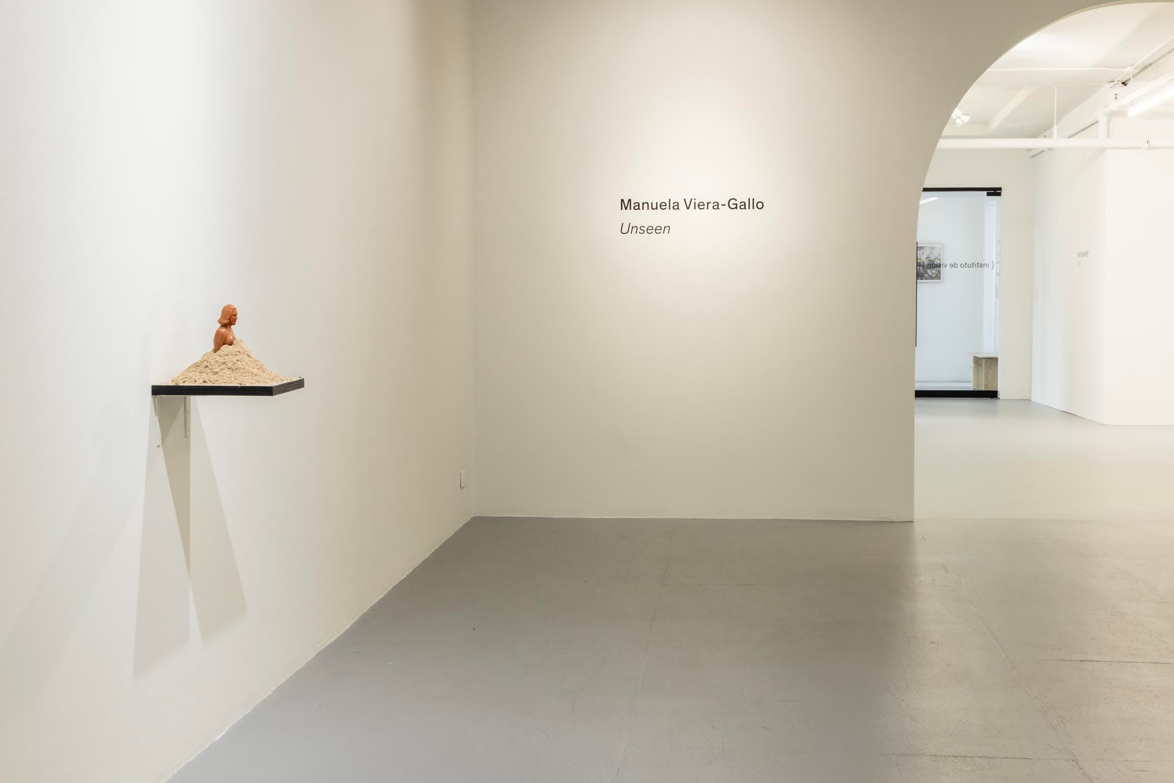Manuela Viera-Gallo — Unseen — image 3 of 3