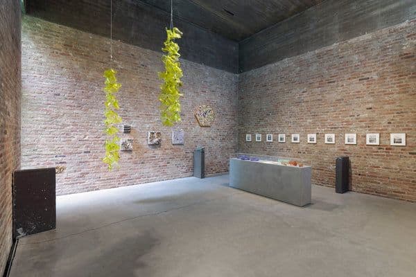 Tue Greenfort — Wunderkammer — image 3 of 5