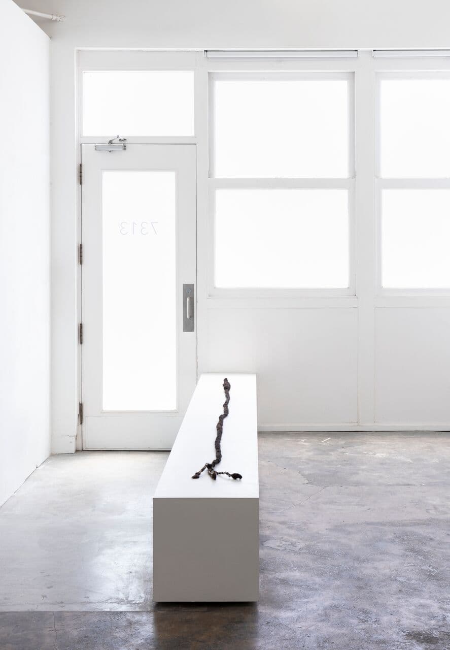 Group Exhibition — Obsequies — image 7 of 8