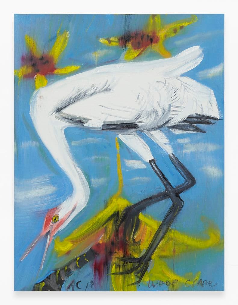 Ann Craven — American Birds (Endangered, Extinct, after Audubon), 2018-19 — image 2 of 2