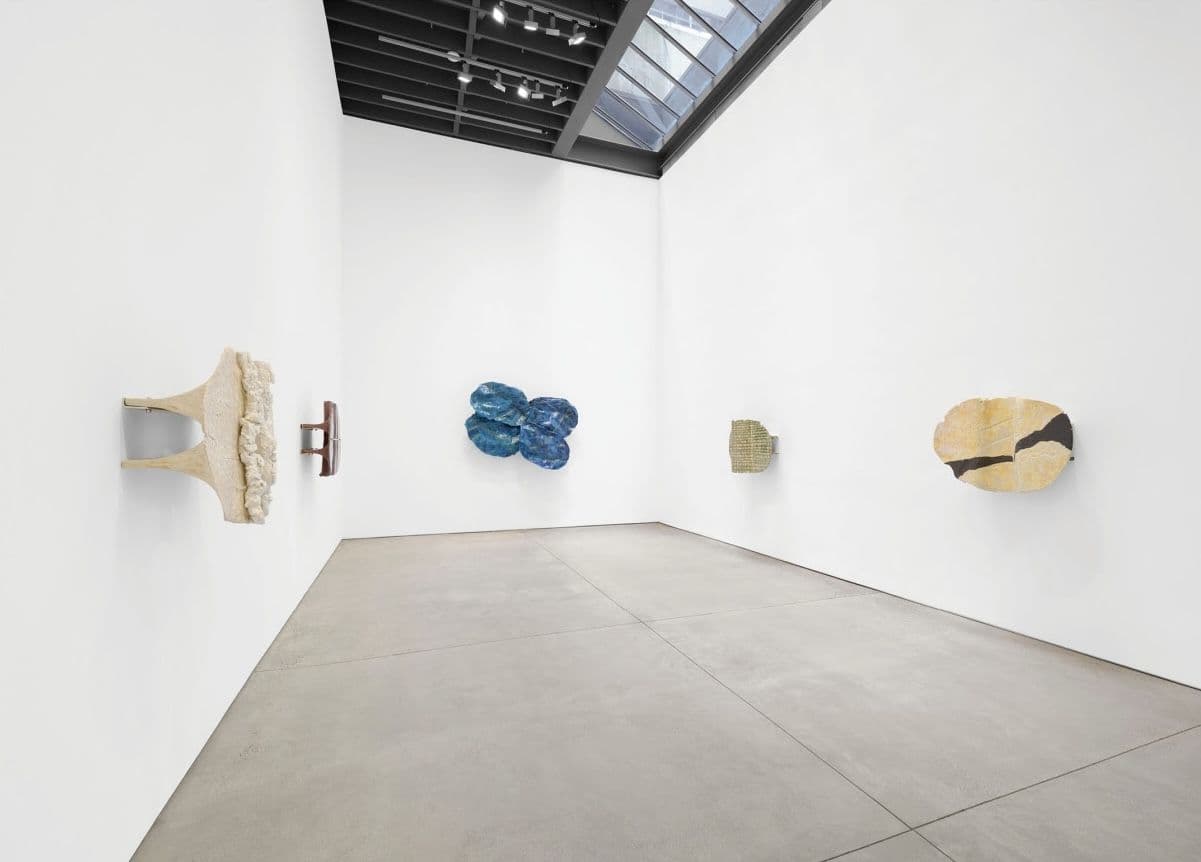 Liz Larner — Maybe Not — image 1 of 5