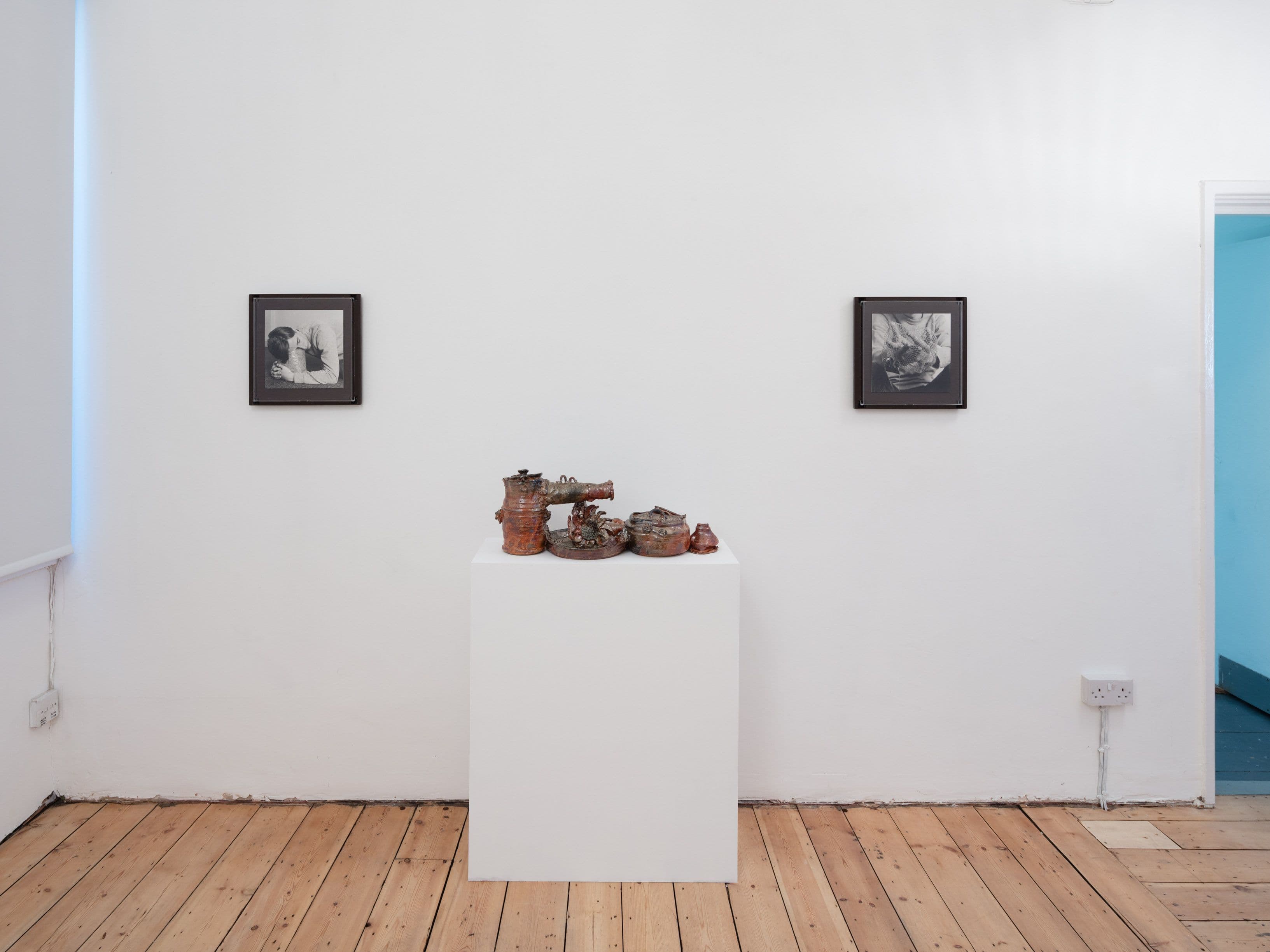 Mark Aerial Waller / Ian Law & Aaron Angell — Two Exhibitions — image 5 of 6