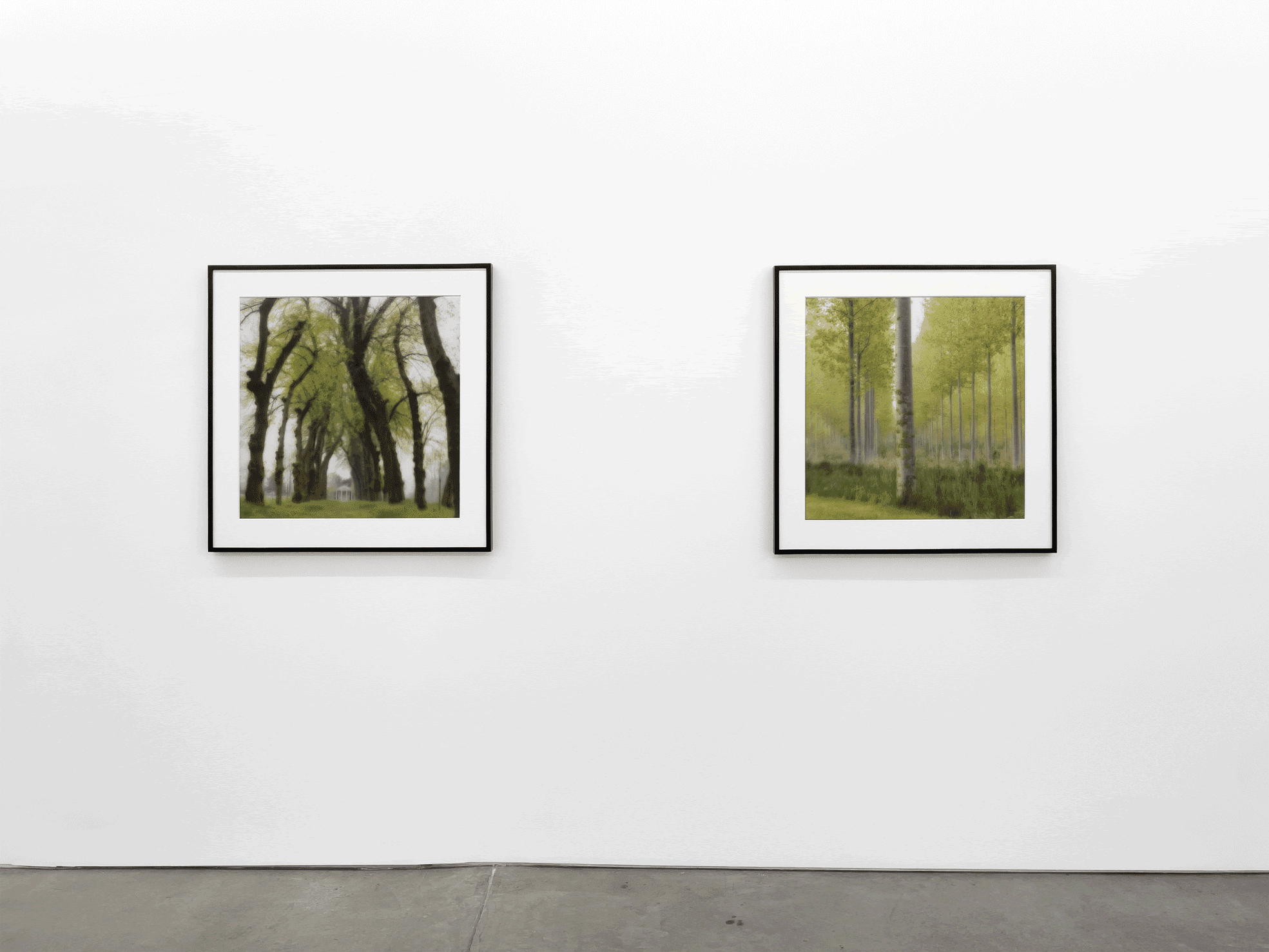 Lynn Geesaman — Lynn Geesaman — image 5 of 5