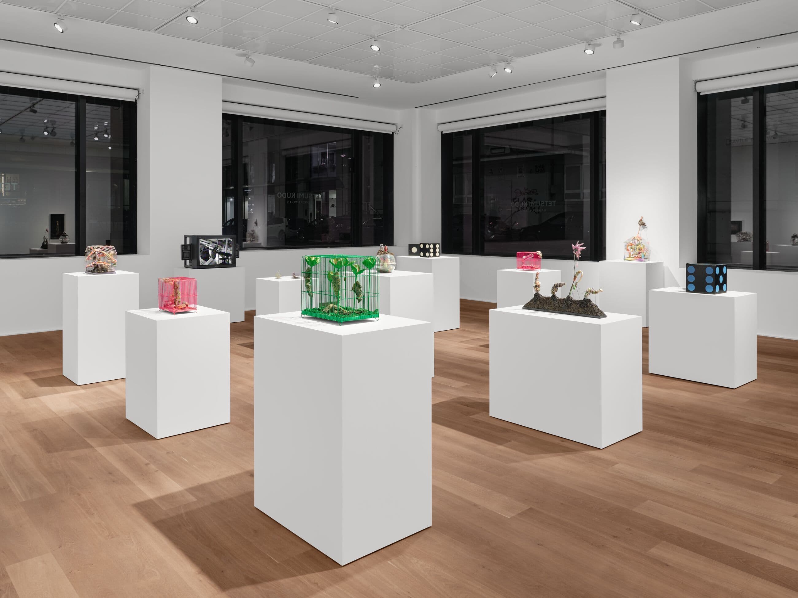Tetsumi Kudo — Microcosms — image 5 of 6