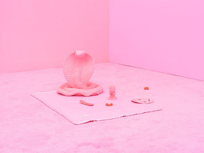 Brian Kokoska & Chloe Seibert — Night Cage — image 8 of 8
