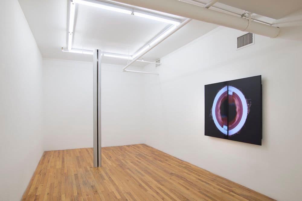 David J. Merritt — Flesh of My Flesh — image 2 of 4