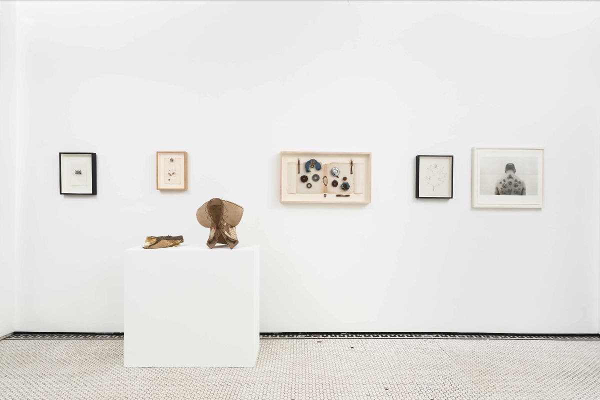 Eric Rhein — Sweetness on the Mountain — image 1 of 3
