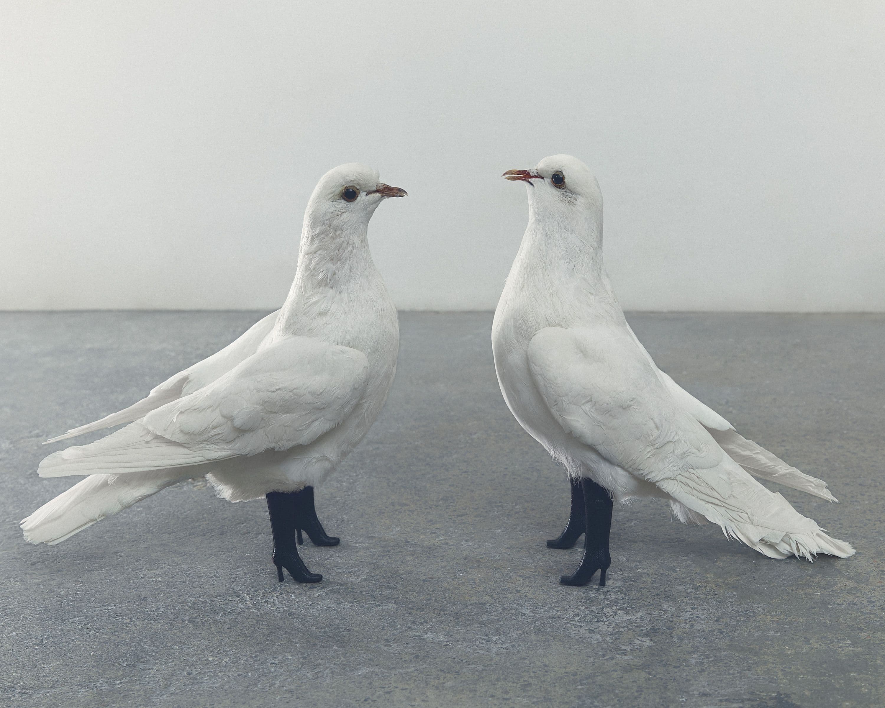 Bárbara Sánchez-Kane & Sofía Alazraki — Fortuna y Fetiche