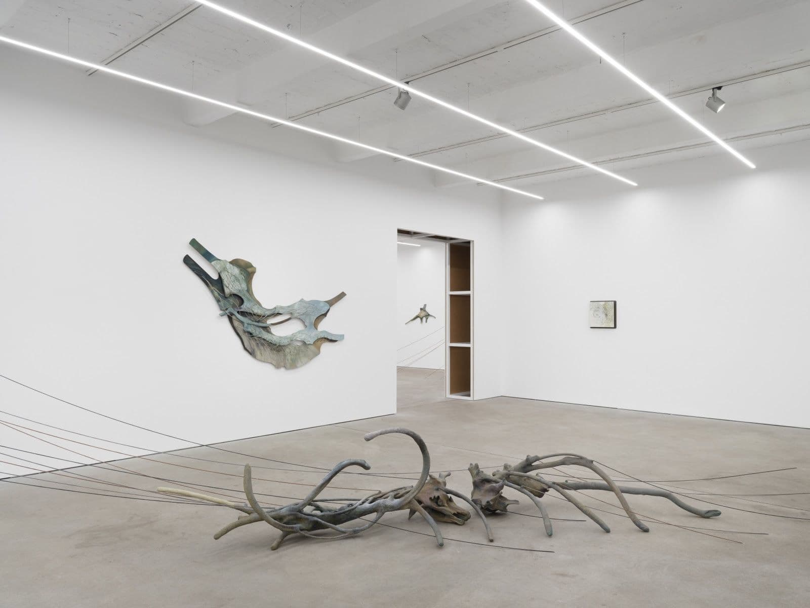 Rim Park — Radix — image 1 of 3