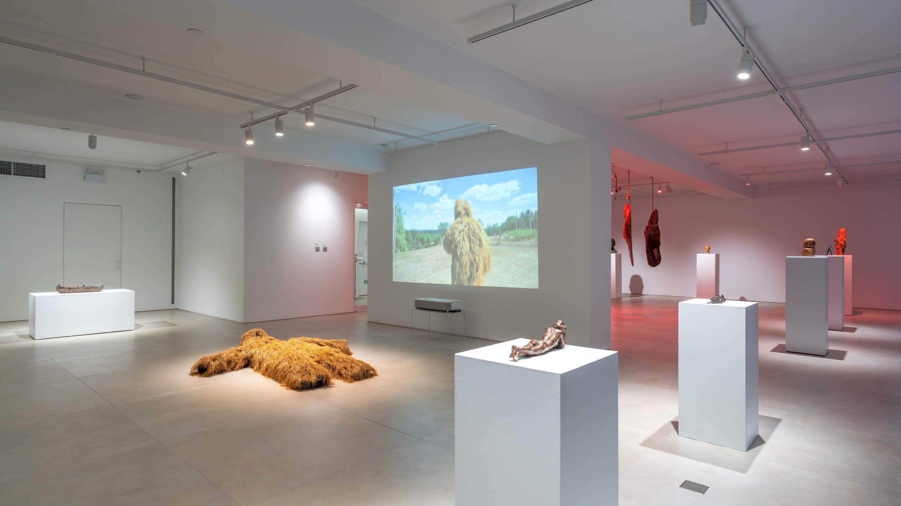 Liu Shiming & Lite Zhang — Traces — image 1 of 2