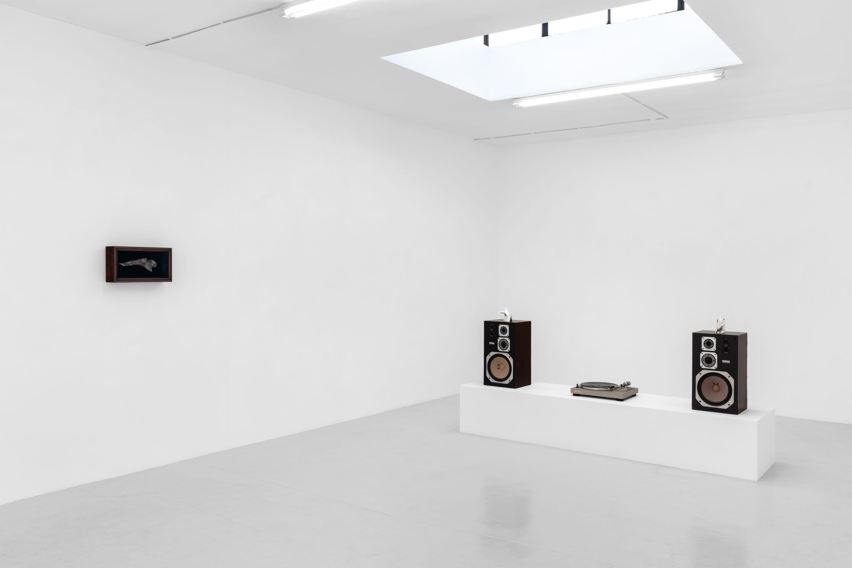 Zaza' — Condo London 2026 — image 4 of 12