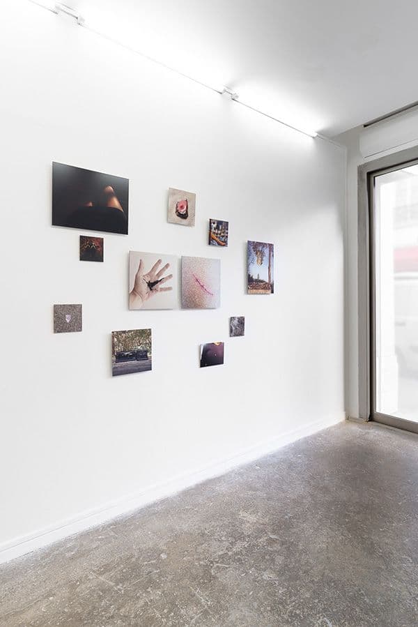 Dani Soter — Dani Soter — image 7 of 8