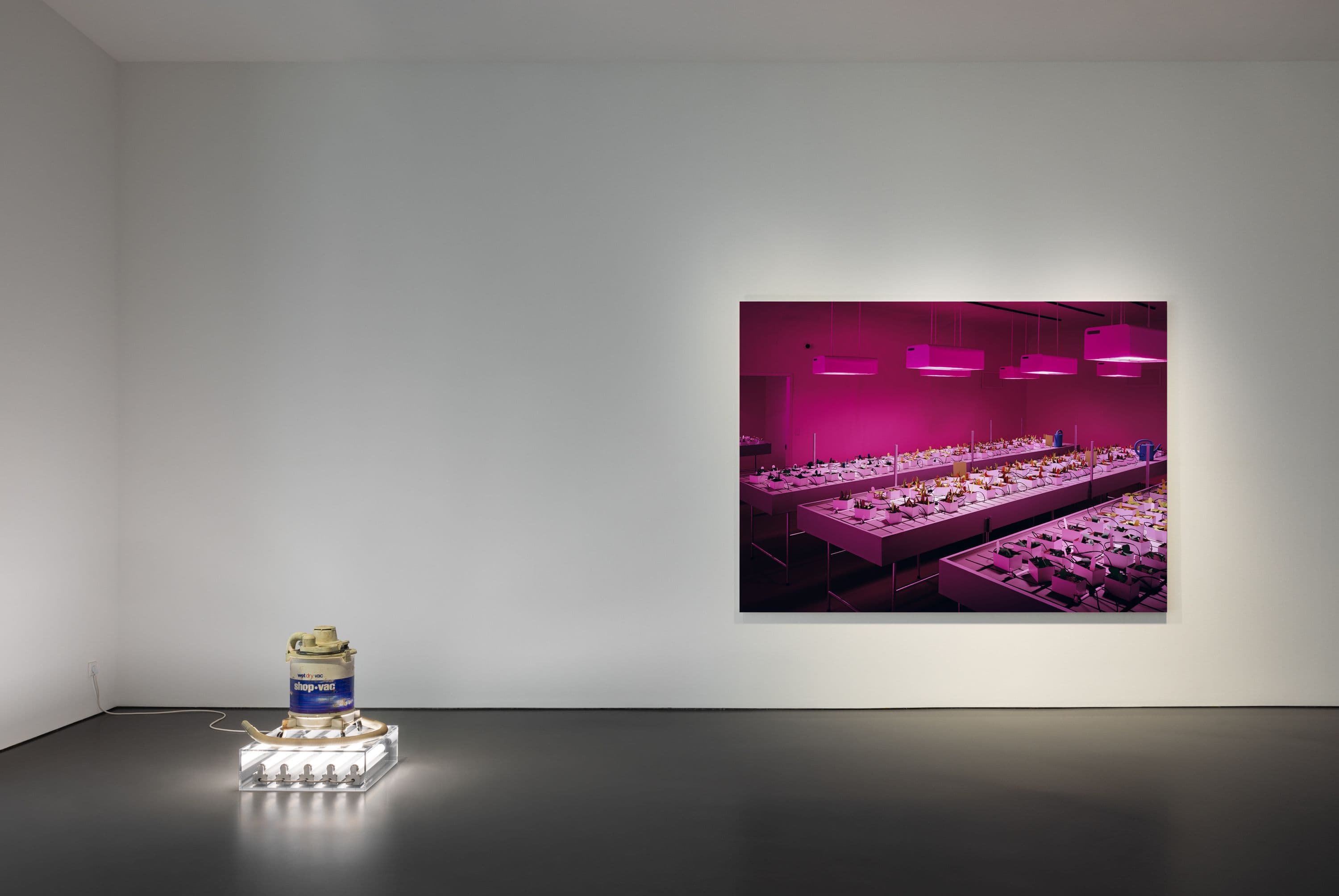 Group Exhibition — Winter 2026 — image 3 of 7