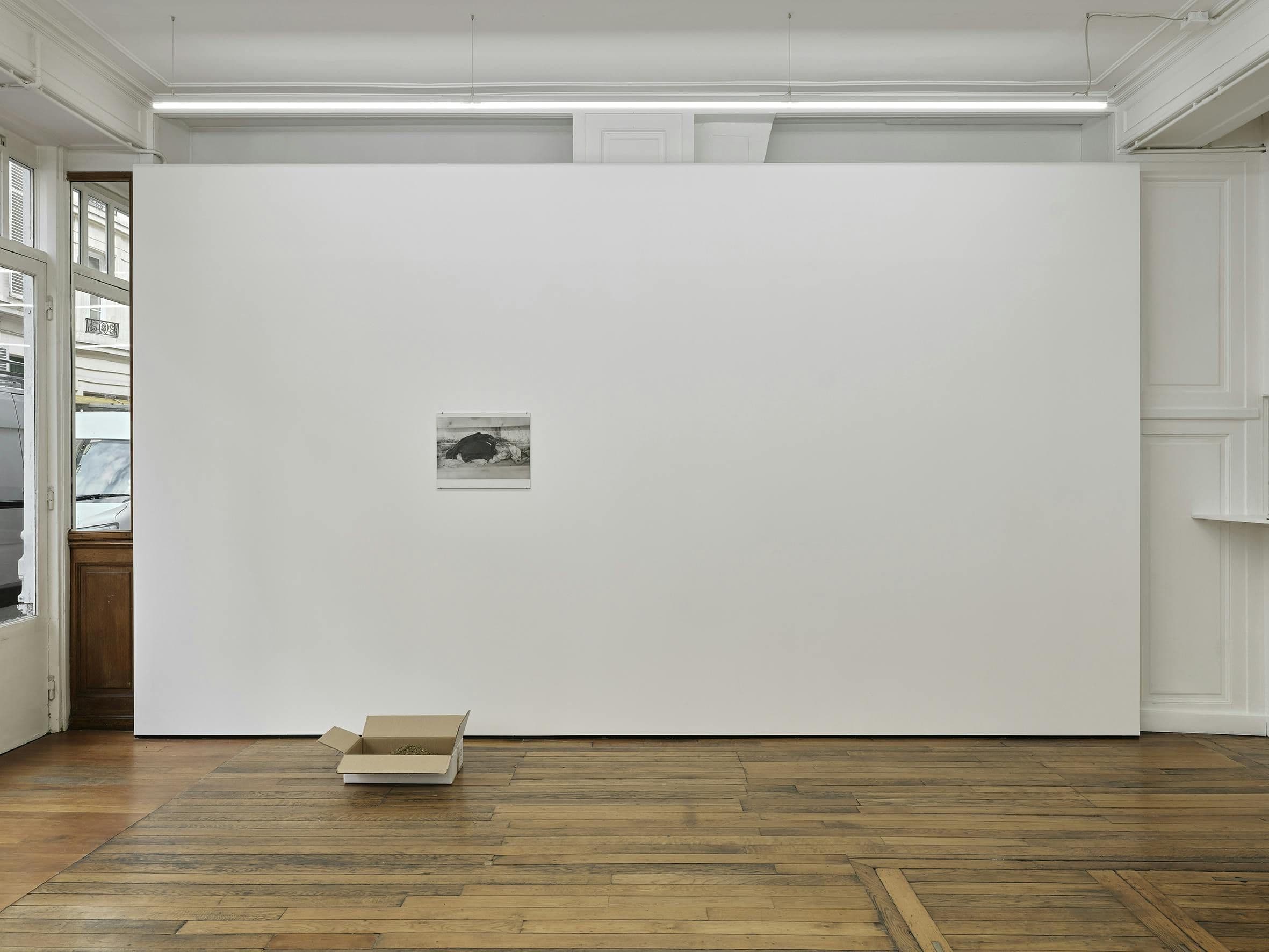 Lenard Giller — Sediment — image 1 of 6