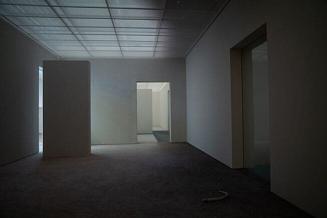 Pierre Huyghe — Pierre Huyghe — image 1 of 5