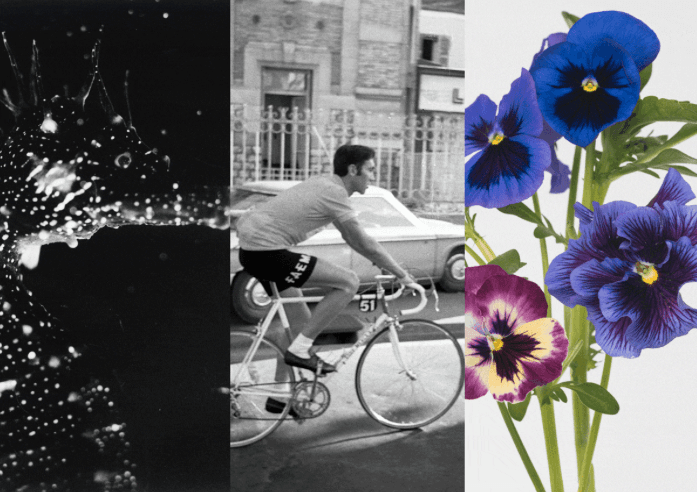 Group Exhibition — Three Exhibitions