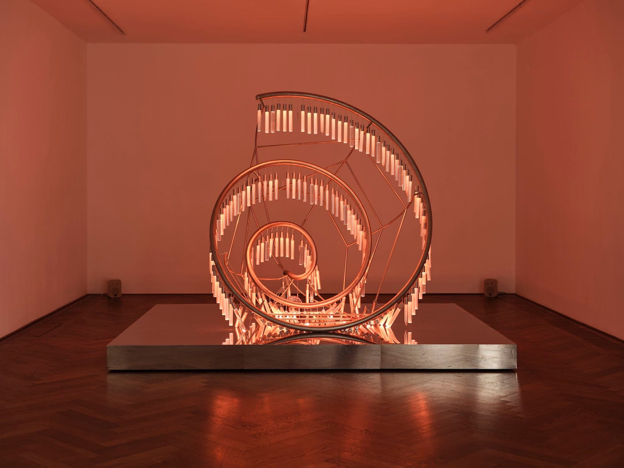 Shuang Li — Alliance — image 9 of 10