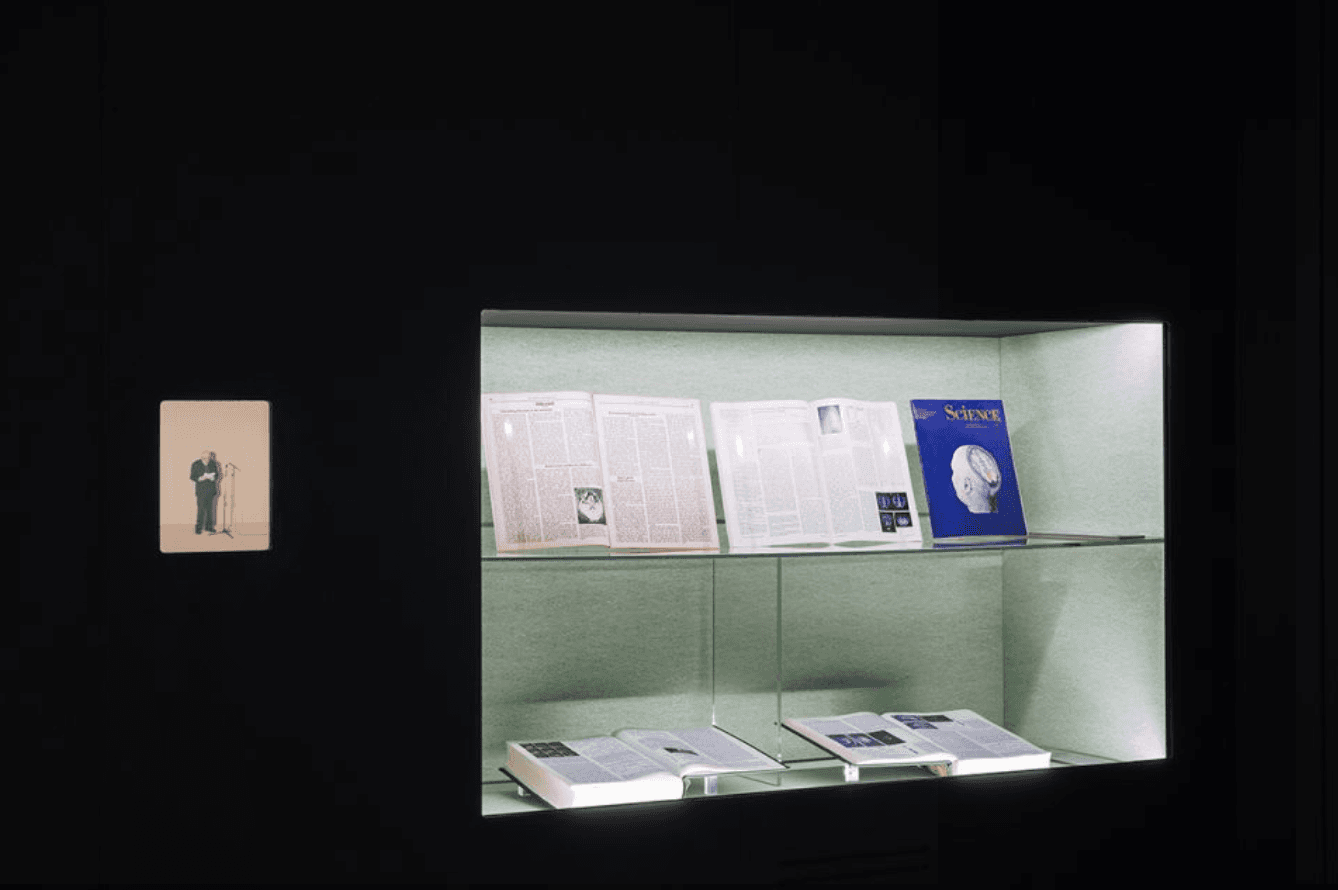 Group Exhibition — Human Brains — image 3 of 8