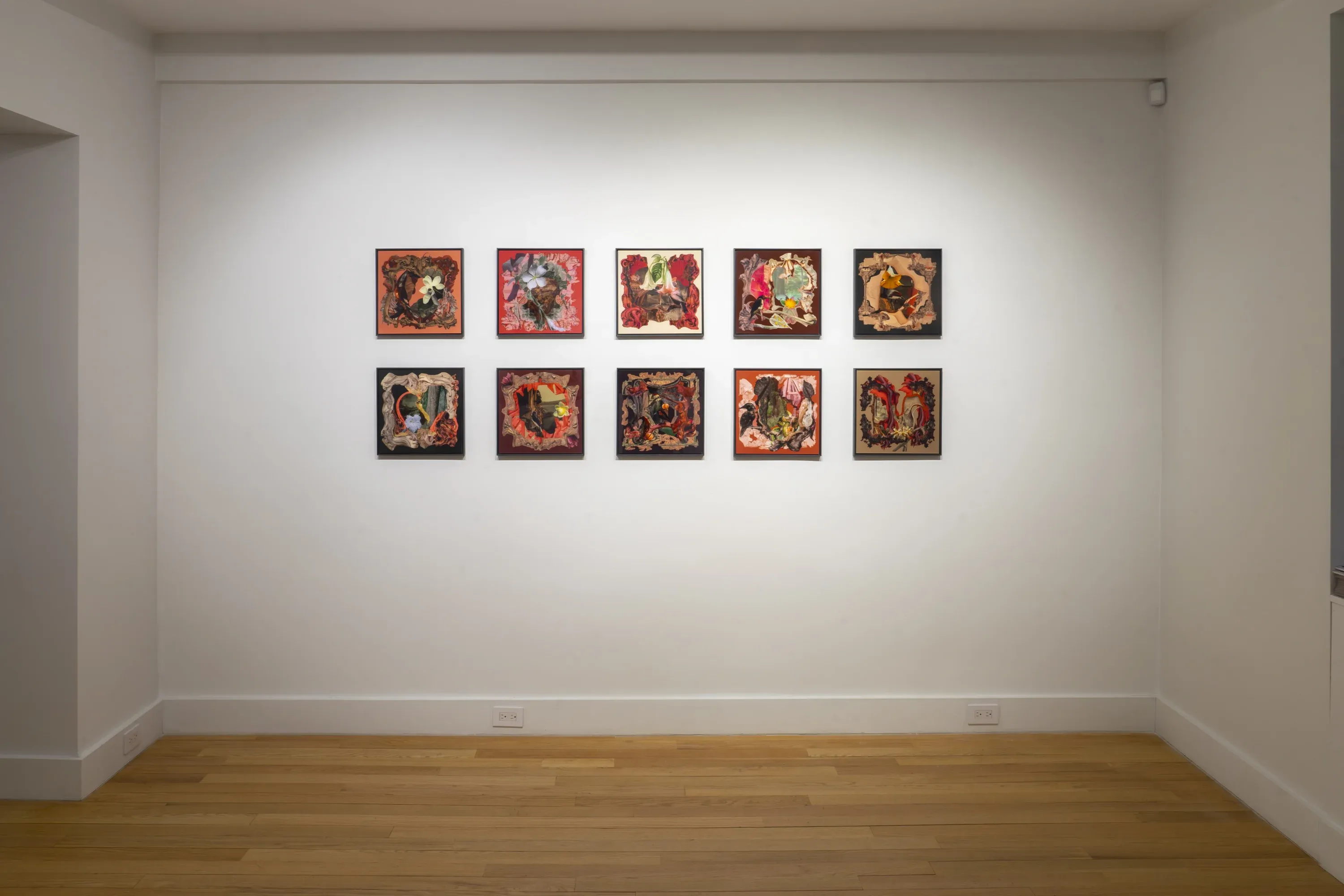 Debora Hirsch — Herbaria — image 2 of 8