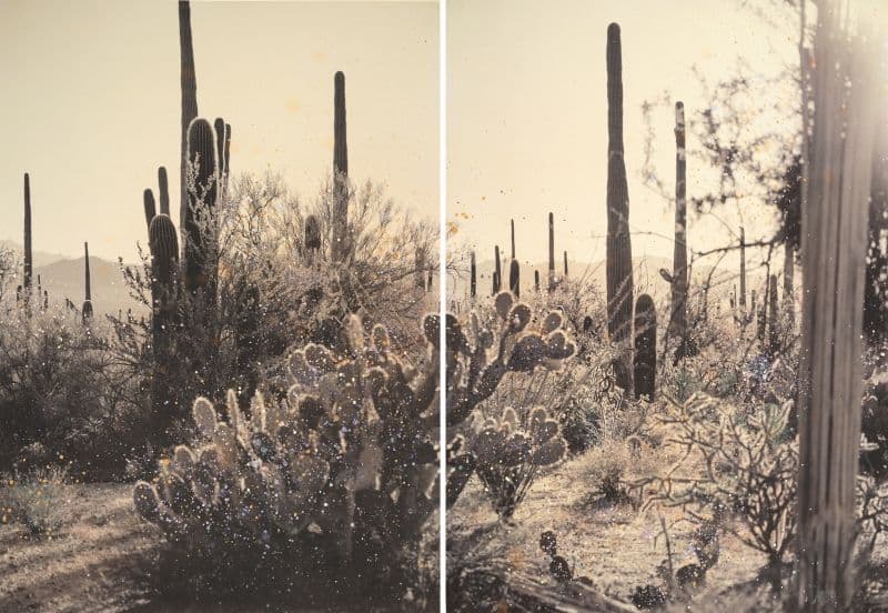 Group Exhibition — The Art of Renewal