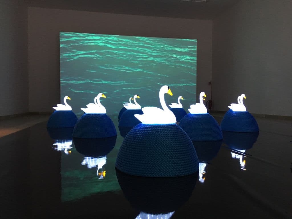 Jana Zelibska — Swan Song: Now — image 3 of 5