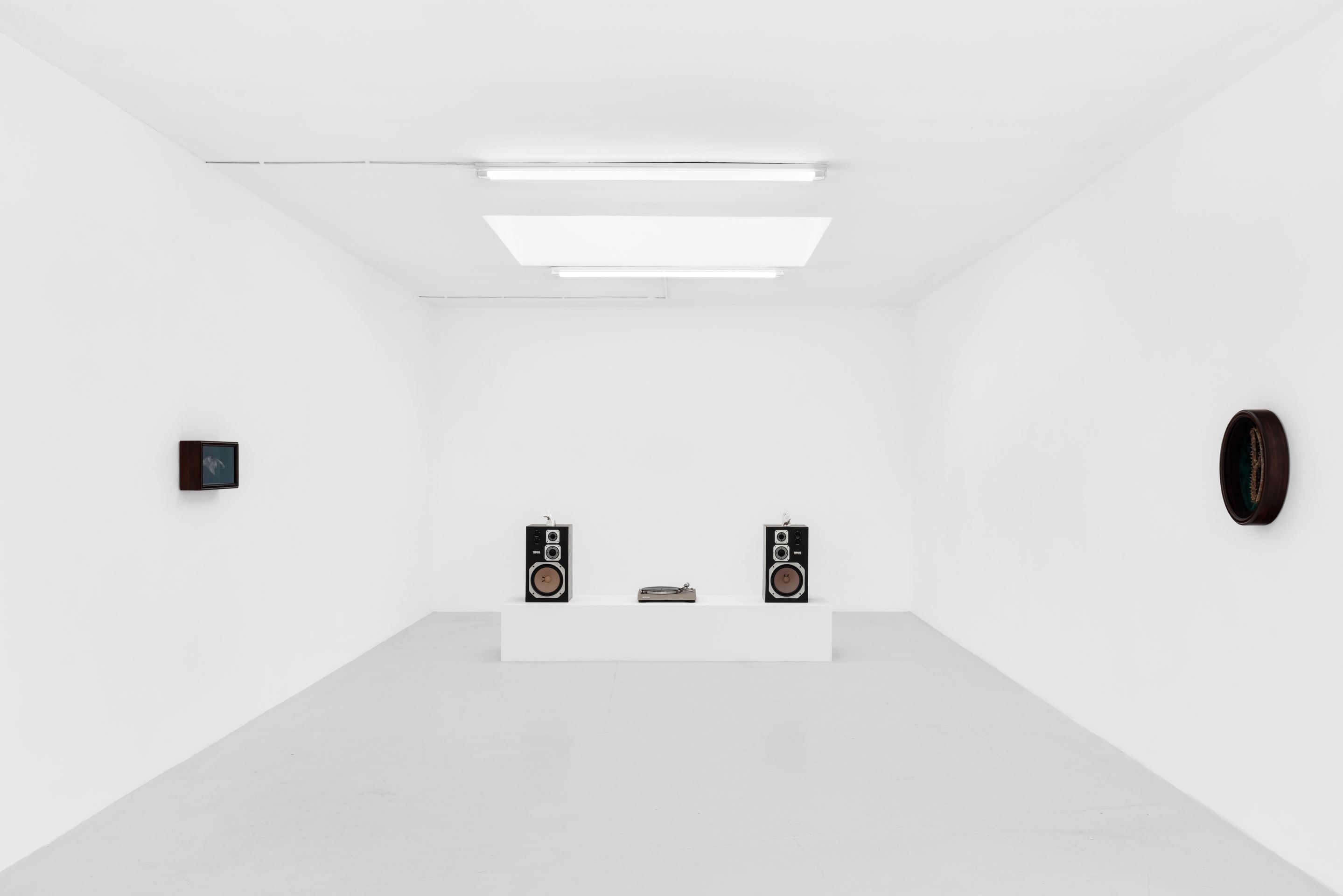 Zaza' — Condo London 2026 — image 1 of 12