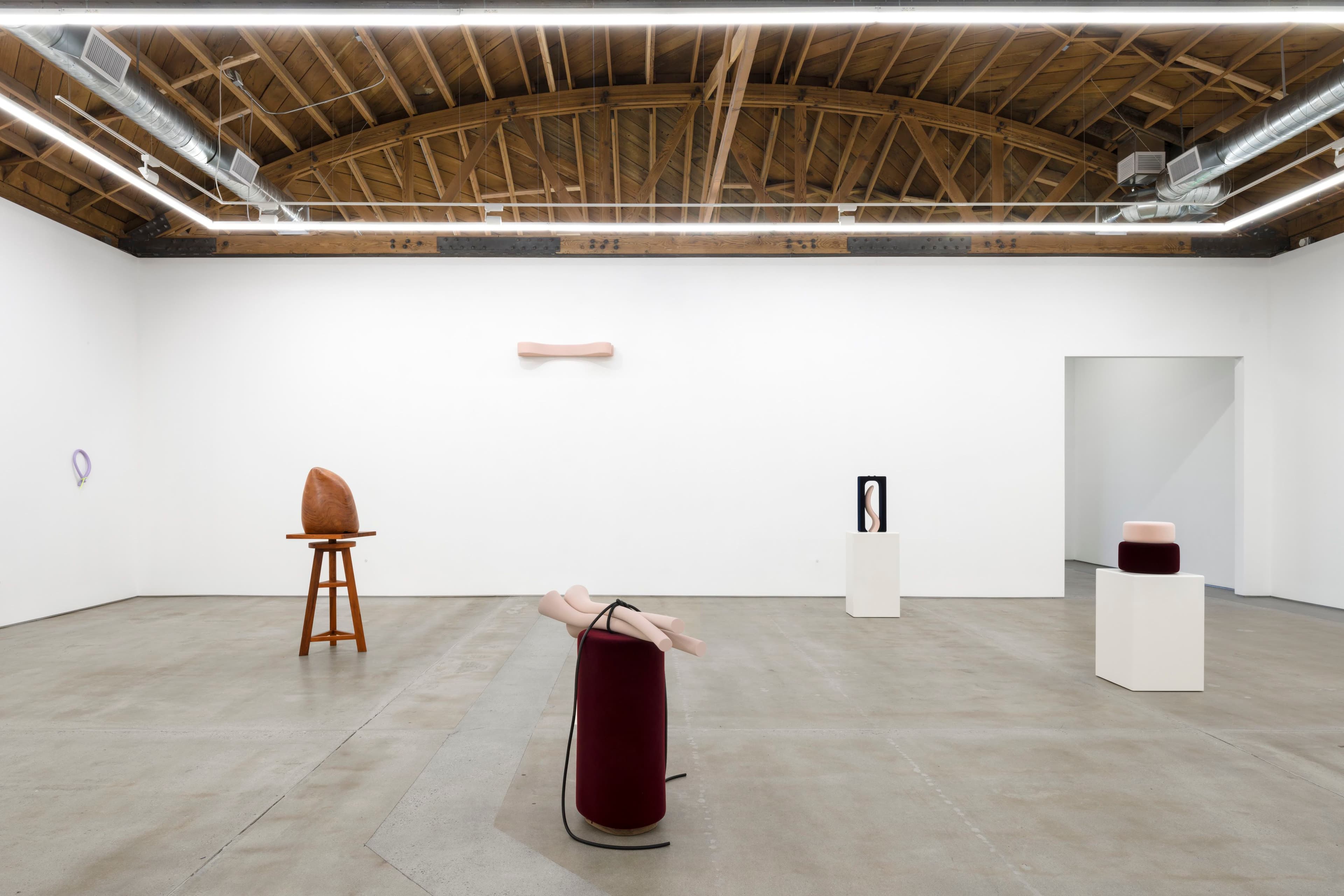Charlie Engelman — Pith — image 1 of 2