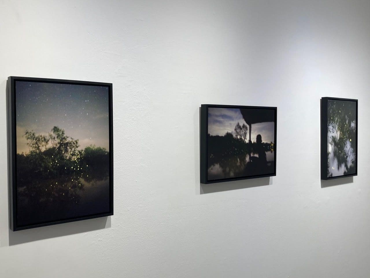 Elijah Gowin — Spirit and Shadow — image 6 of 8