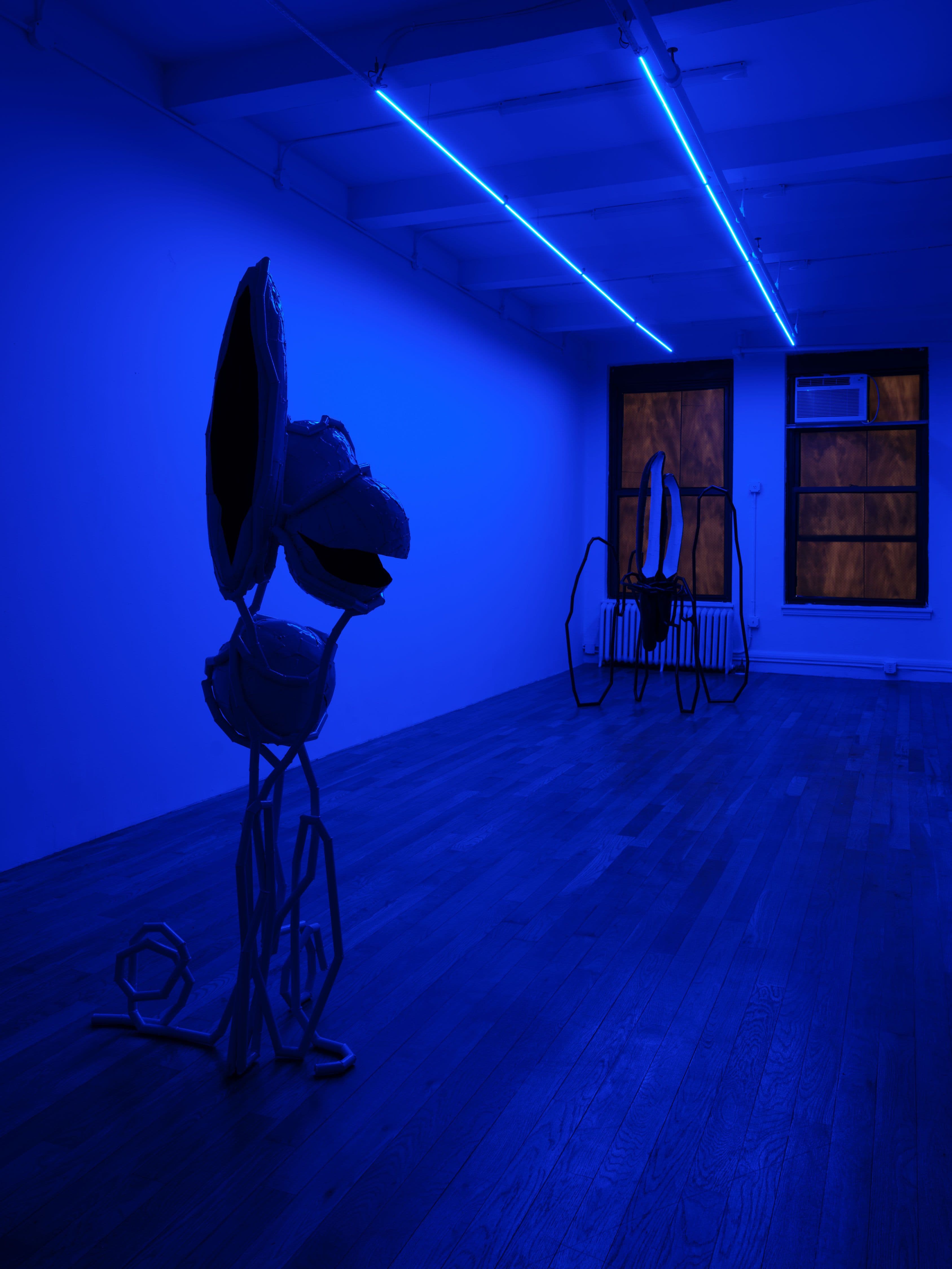 Indrikis Gelzis — Bingo Gaze — image 5 of 8